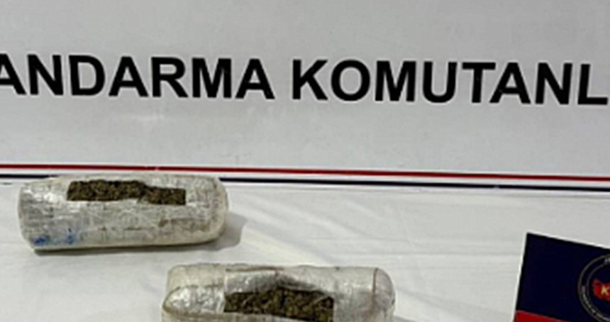 Iğdır'da uyuşturucu operasyonu: 1 gözaltı