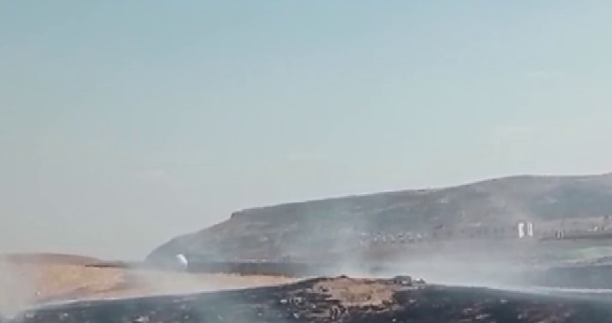 Siirt'te anız yangını: İtfaiye ekipleri müdahale ediyor