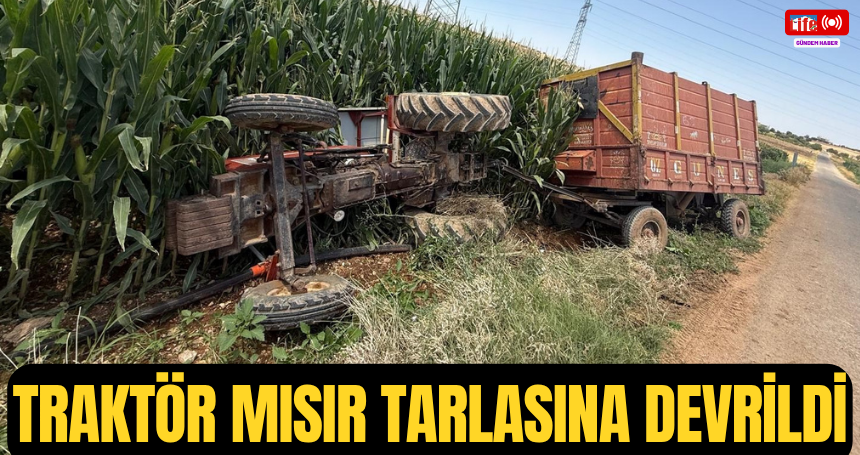 Traktör mısır tarlasına devrildi