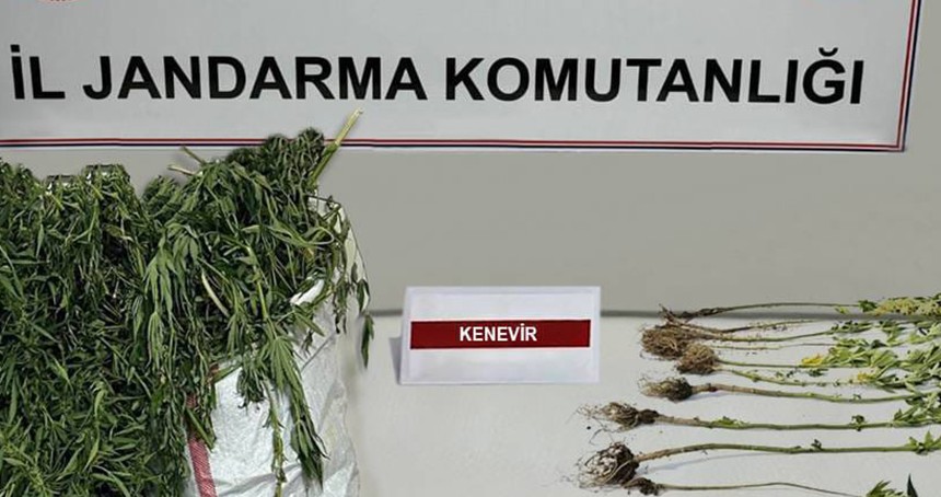 Adıyaman'da uyuşturucu operasyonu: 5 gözaltı