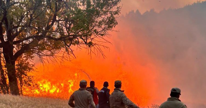 61 orman yangınıyla ilgili 23 kişi gözaltına alındı, 4'ü tutuklandı