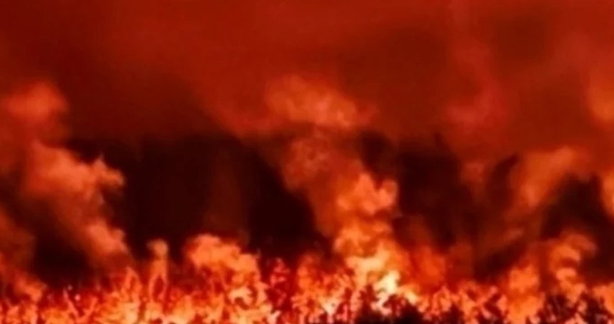 Alevlerin arasında kalan 11 orman işçisi hayatını kaybetti