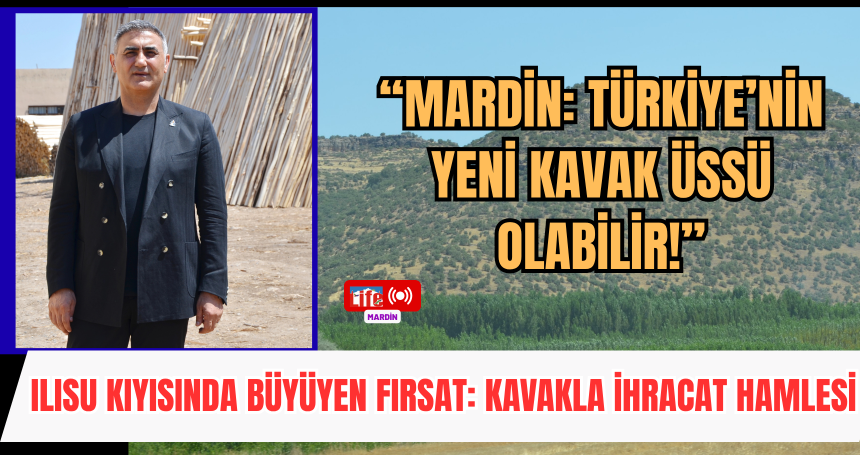 “Ilısu havzası, kavak plantasyonlarıyla donatılmalı”