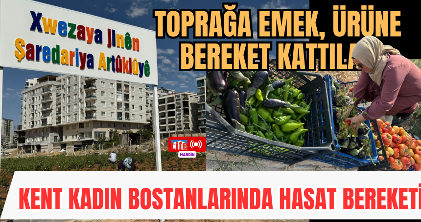 Toprağa emek, ürüne bereket kattılar
