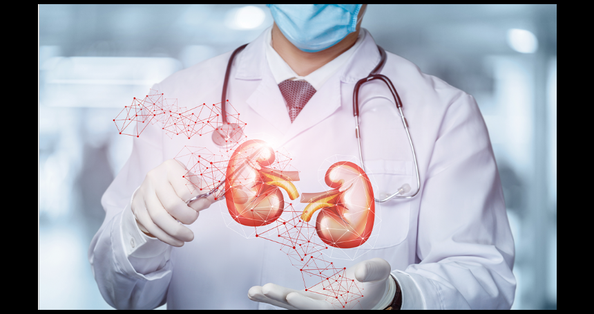 Ankara Üroloji Doktorları
