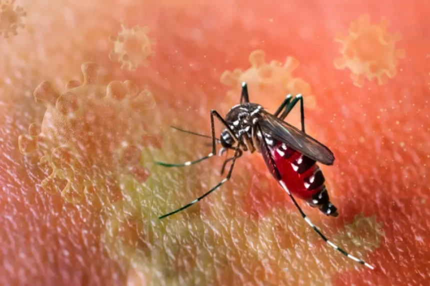 Chikungunya virüsü nedir? Nasıl bulaşır? Belirtileri nelerdir? Türkiye'de var mı?