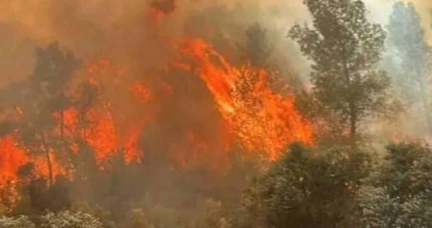 Eskişehir'deki orman yangınında hayatını kaybedenlerin isimleri belli oldu