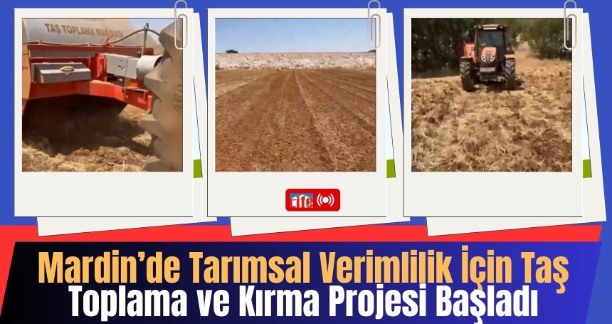 Mardin Ömerli’de Tarımsal Verimlilik İçin Taş Toplama ve Kırma Projesi Başladı