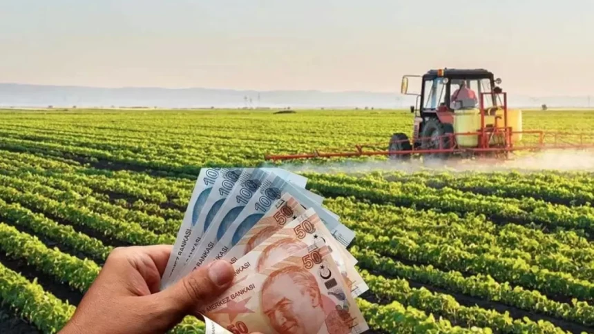Çiftçilere müjde! Bugün hesaplara yatırılacak