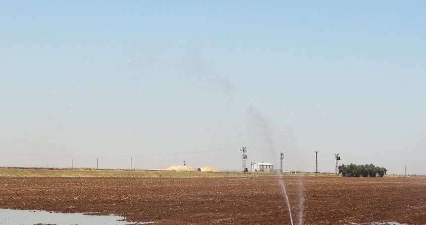 Dicle Elektrik: Yasaklamaya rağmen mısır ekimi su ve enerji kaynaklarında sorunlara yol açıyor