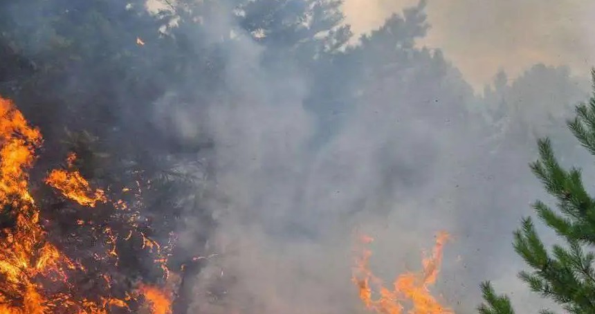 İzmir Buca'da orman yangını