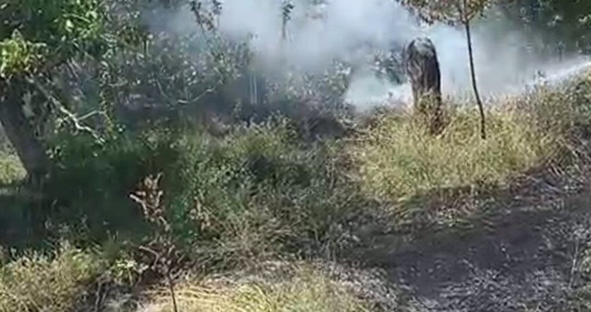 Malatya'da bahçe yangını paniğe neden oldu