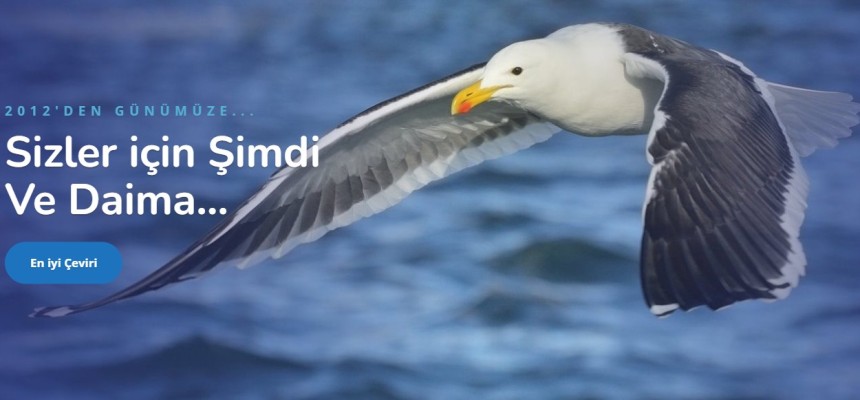 Yeminli Tercüme ve Tercüme Ücretleri - Okeanostercume.com.tr