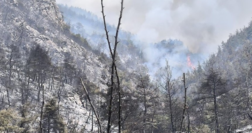 Bursa'da orman yangınıyla mücadele sürüyor