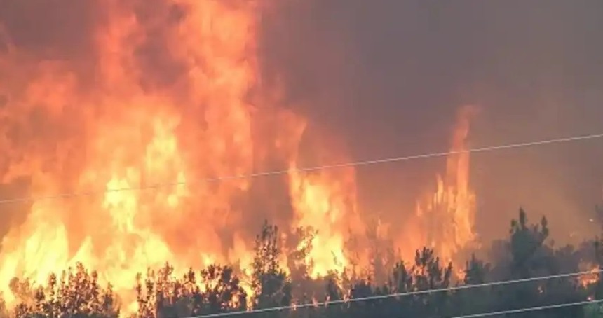 Orman yangınlarıyla ilgili olarak gözaltına alınan 3 kişi tutuklandı