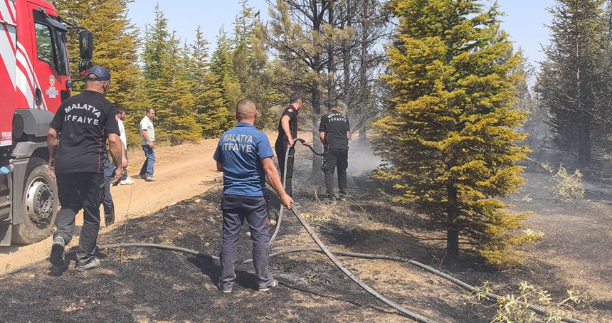 Malatya'da ormanlık alanda yangın: 20 hektar alan zarar gördü