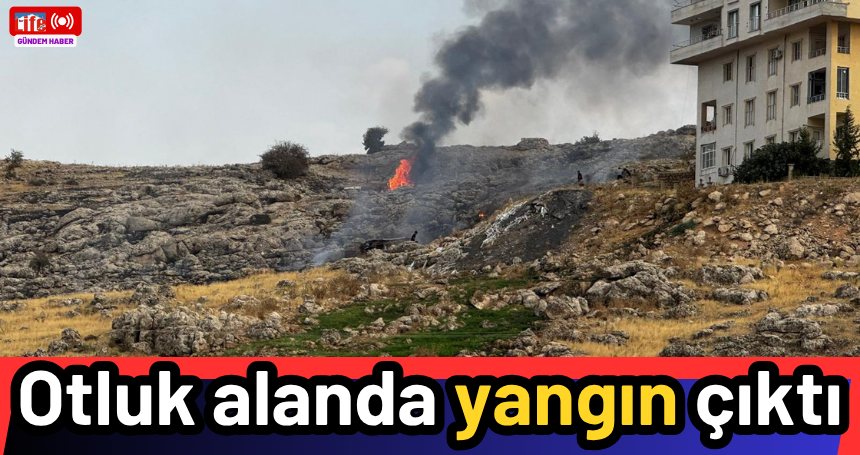 Otluk alanda yangın çıktı