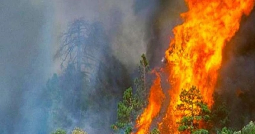 Provokatif yangın paylaşımlarına soruşturma: 13 kişiye işlem başlatıldı