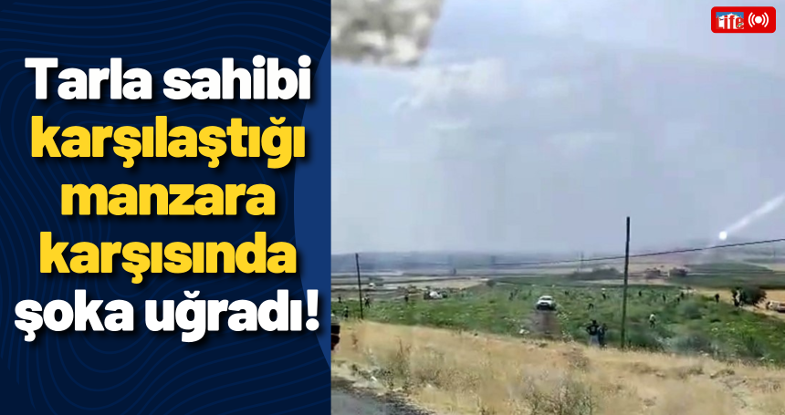 Tarla sahibi karşılaştığı manzara karşısında şoka uğradı!