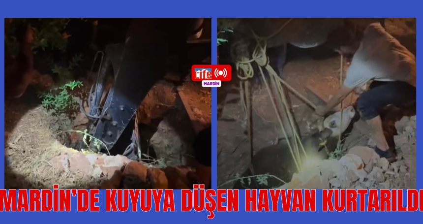 Mardin’de Kuyuya Düşen Hayvan Kurtarıldı
