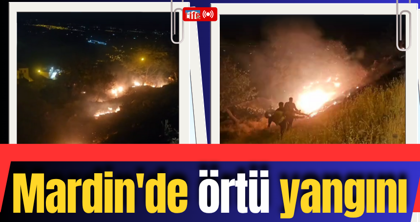 Mardin'de örtü yangını