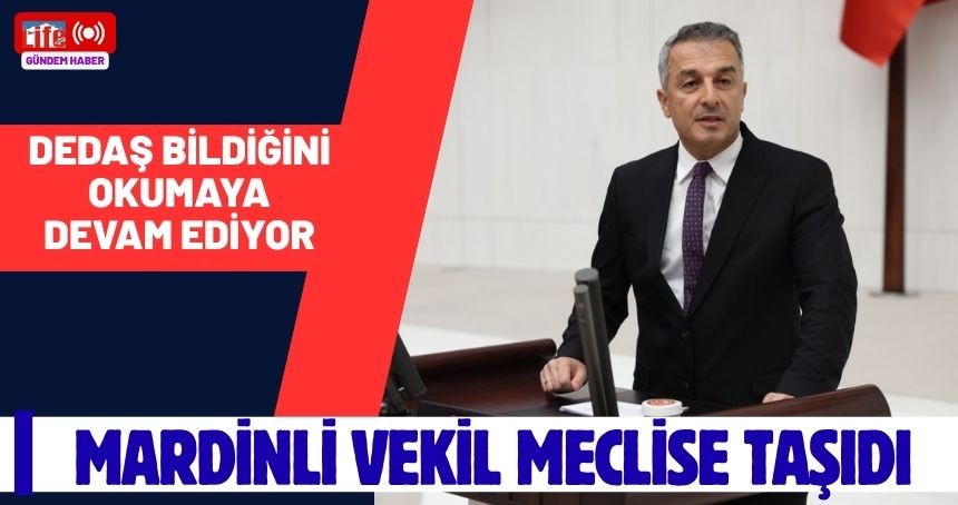 Elektrik Kesintileri Meclis Gündeminde: Mardinli Vekil Bakana Soru Önergesi verdi