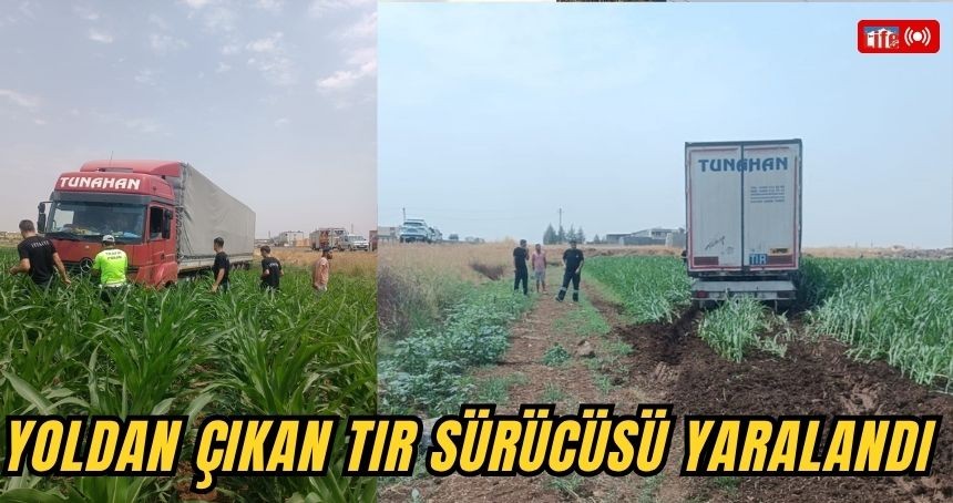 Yoldan çıkan TIR’ın sürücüsü yaralandı