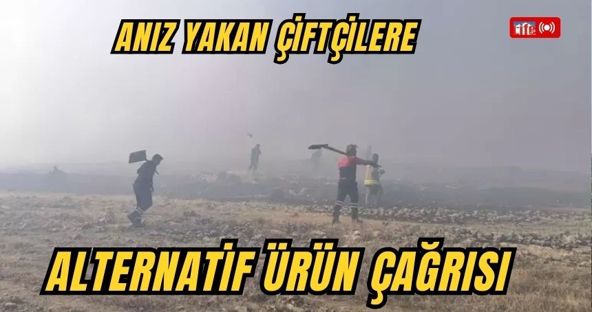 Anız yakan çiftçilere alternatif ürün çağrısı