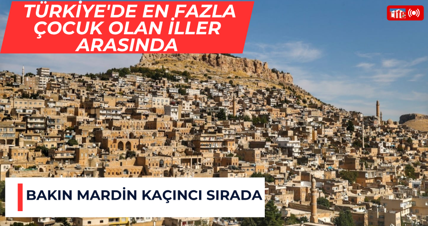 Mardin, Türkiye'de en fazla çocuk olan iller arasında