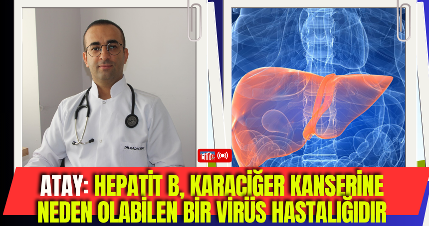 Atay: Hepatit B, karaciğer kanserine neden olabilen bir virüs hastalığıdır