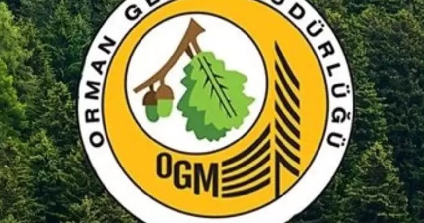 OGM’den hava araçları ve yanan orman alanlarıyla ilgili açıklama