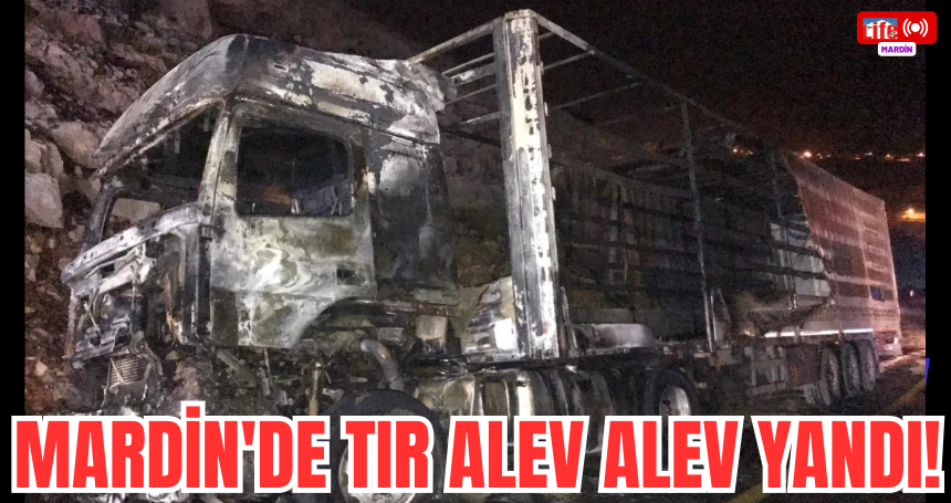 Mardin'de Tır Alev Alev Yandı!
