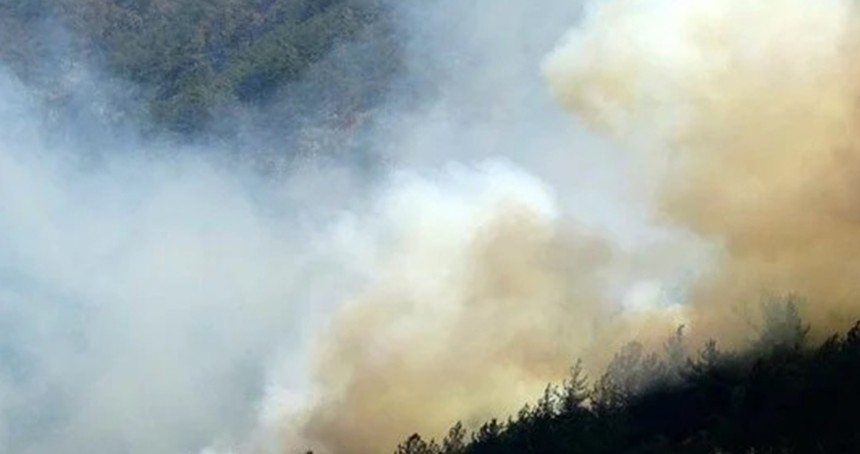 Şırnak’ta örtü yangını