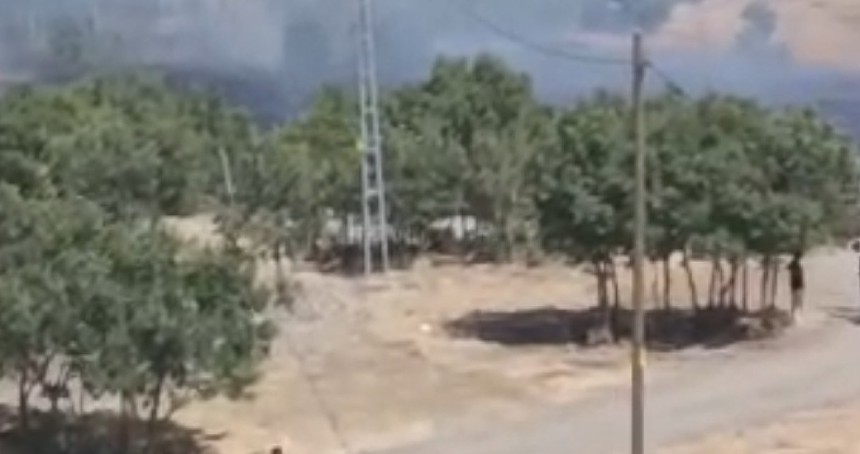 Bingöl'de kırsal alanda yangın çıktı