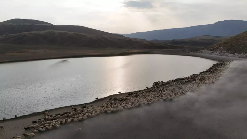 Göçerler Mardin'den Bitlis'e göç etti