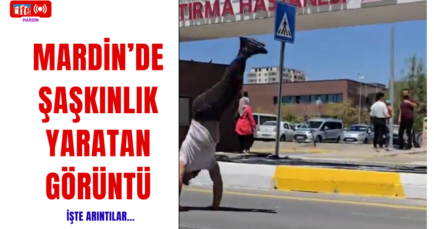 Mardin’de Şaşkınlık Yaratan Görüntü