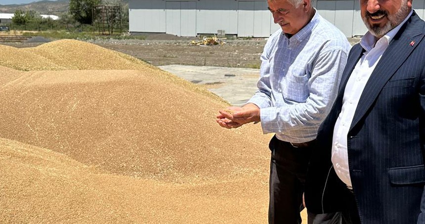 Bingöl’de 2 bin 750 ton buğday hasat edildi
