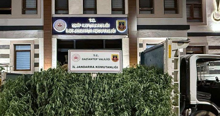 Gaziantep'te kenevir operasyonu: 2 tutuklama