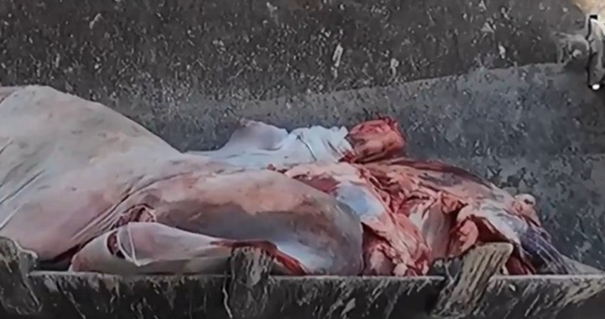 Şanlıurfa’da mühürsüz etler imha edildi