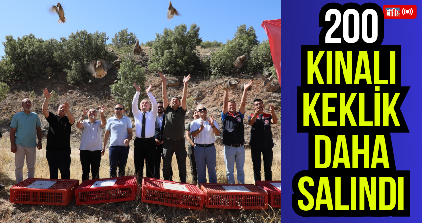 200 Kınalı Keklik daha salındı