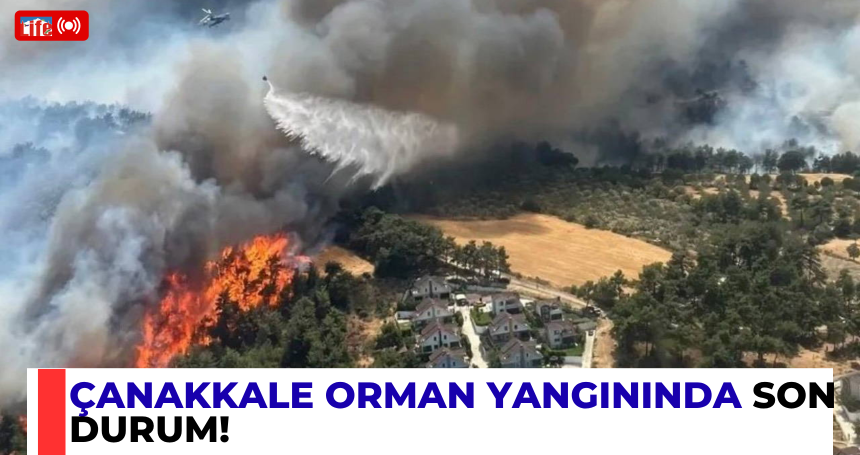 Çanakkale orman yangınında son durum!