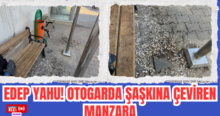 Edep Yahu! Kızıltepe Otogarında Şaşkına Çeviren Manzara