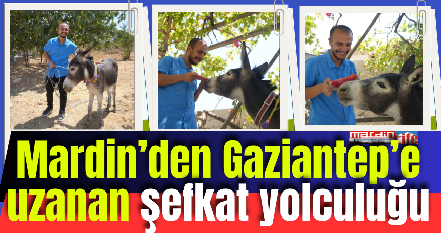 Mardin’den Gaziantep’e uzanan şefkat yolculuğu