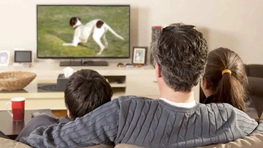 Bugün televizyonda neler var? 12 Ağustos 2025 Salı Günü TV yayın akışı