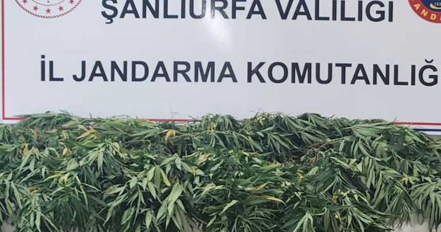 Şanlıurfa’da uyuşturucu operasyonu: 2 gözaltı