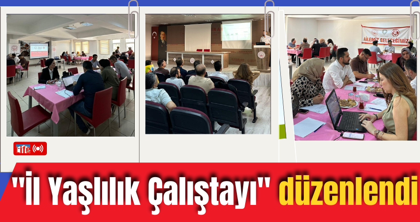 Mardin'de "İl Yaşlılık Çalıştayı" düzenlendi