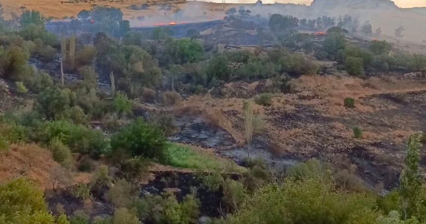 Adıyaman'da çıkan bağ ve bahçe yangınları söndürüldü