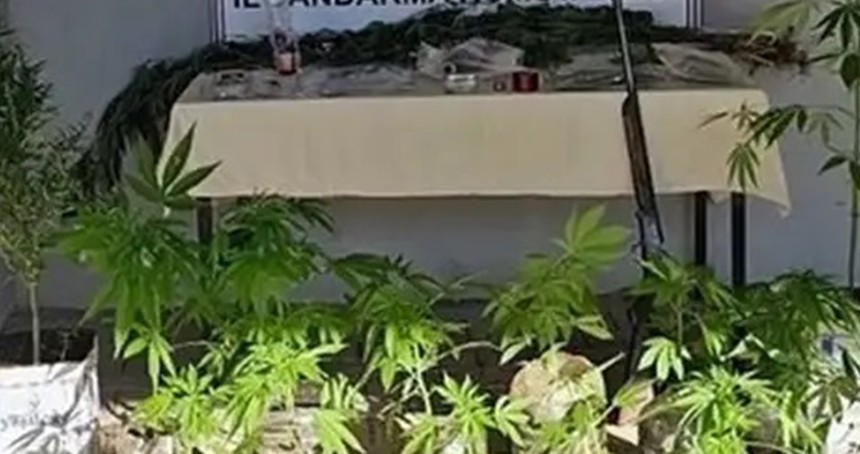 Bilecik'te uyuşturucu operasyonu: 2 gözaltı