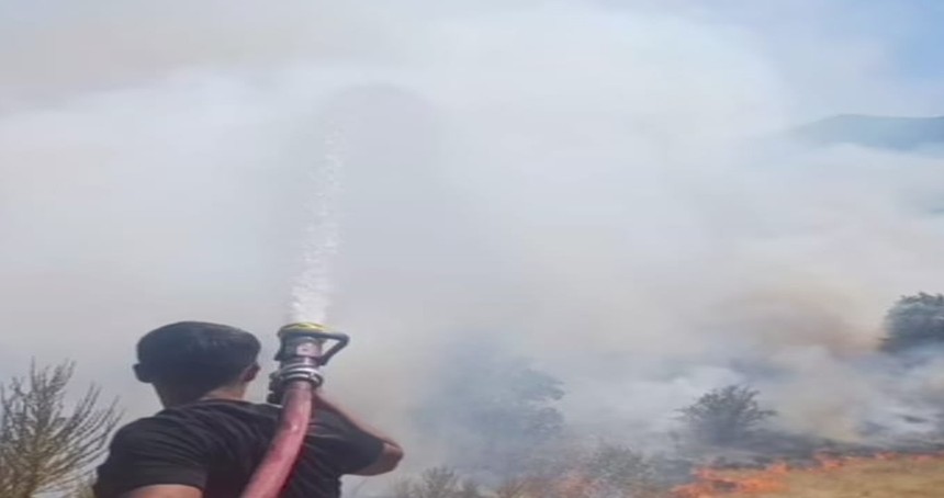 Bingöl’de çıkan kırsal alan yangını kontrol altına alındı