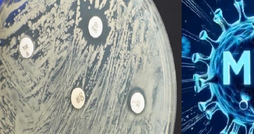 MIT’den yapay zekâ destekli yeni antibiyotikler